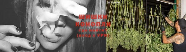дурь Белоозёрский
