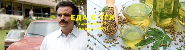 дживик Богородицк