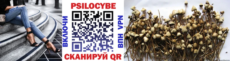 блэк спрут зеркало  Гулькевичи  Галлюциногенные грибы Magic Shrooms  закладка 