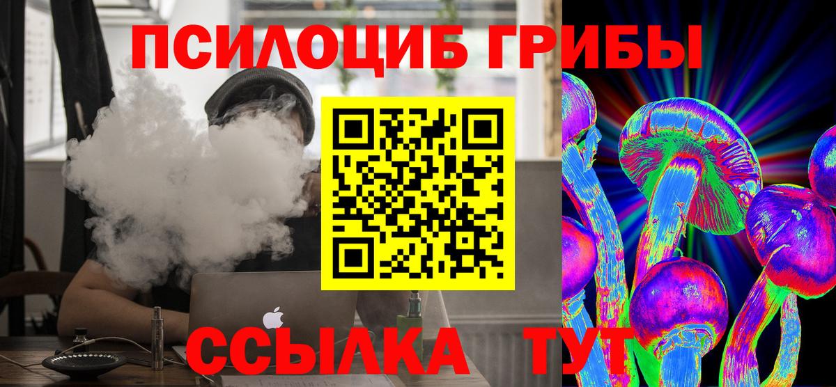 Псилоцибиновые грибы Cubensis  Гулькевичи  Галлюциногенные грибы Psilocybine cubensis 